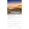 BrownTrout; Coast of New England | 2027 12 x 24 Inch (Hanging) Monthly Square Wall Calendar | Plastic-Free; Category:Wall Calendars; Image:5